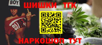 прущие грибы Лесосибирск