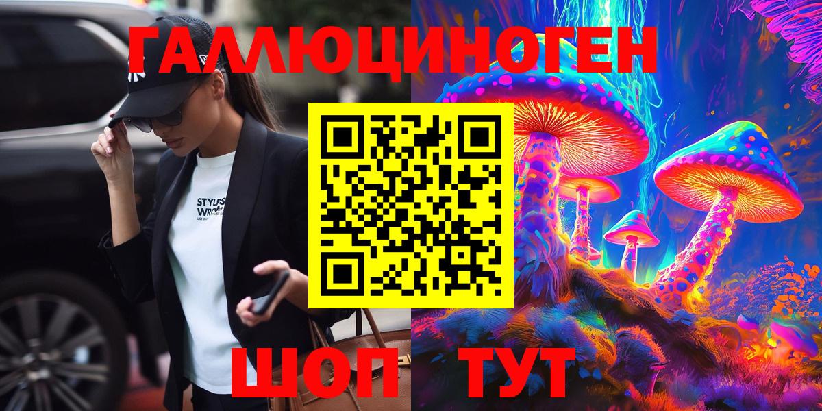 Грозный  Псилоцибиновые грибы GOLDEN TEACHER  Вход с VPN  Псилоцибиновые грибы Psilocybe 